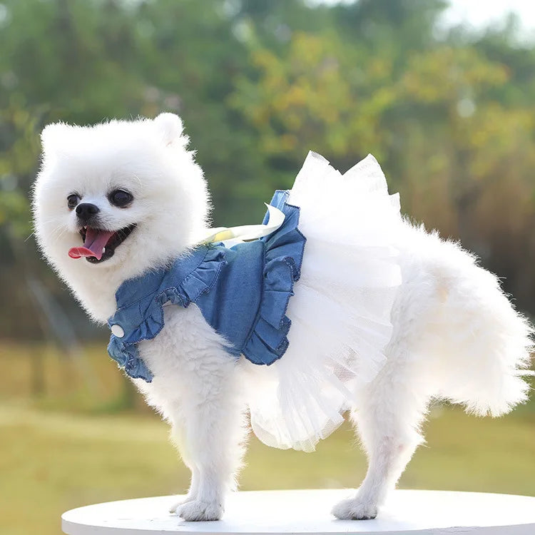 Pet Dress for Dog Small Pomeranian Girl and Boy Dress for Cat Small