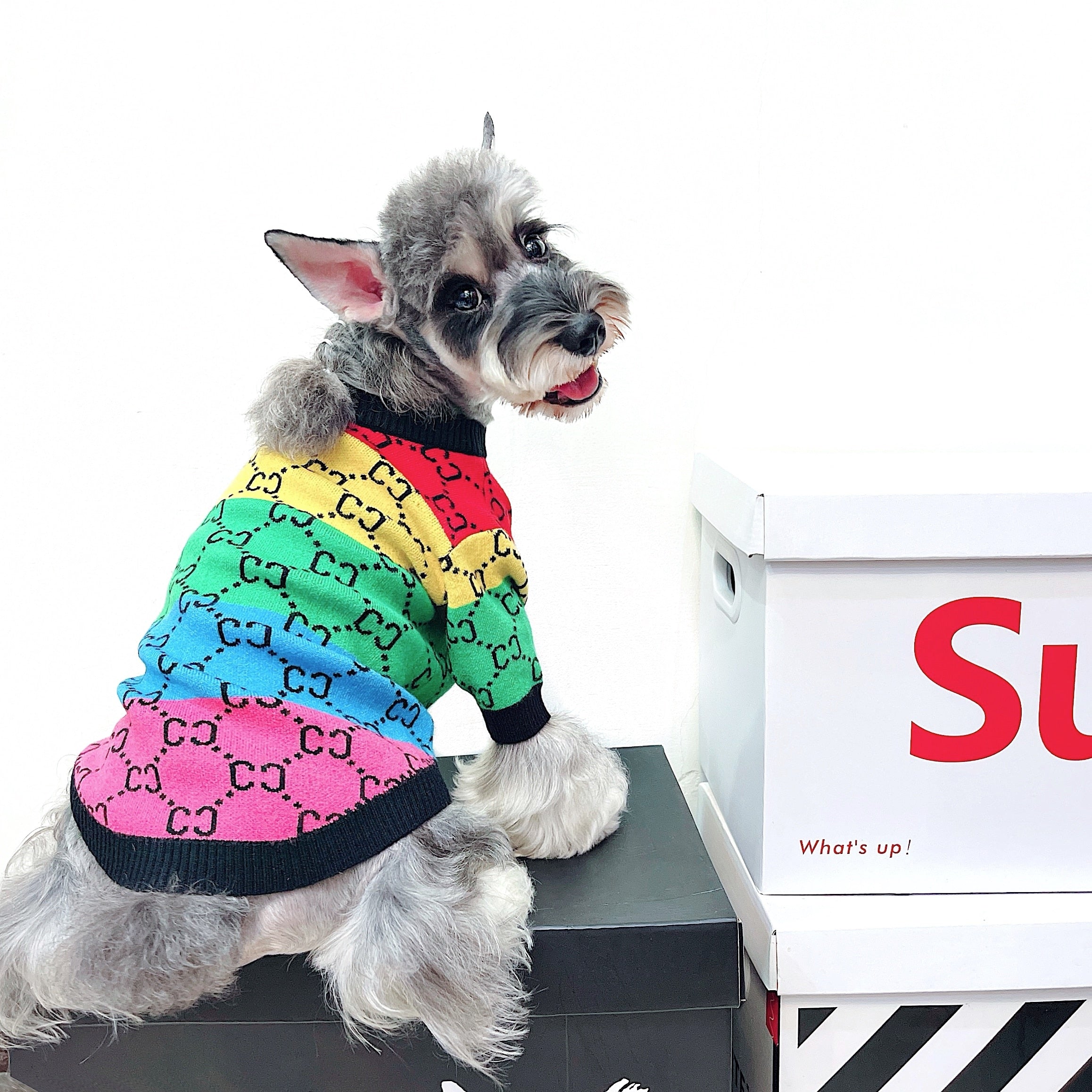 Trendy Brand Pet Clothes Small And Medium Sized Dogs Rainbow Stripes
