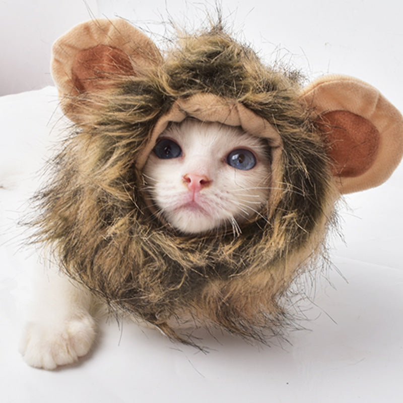 Pet Cute Lion Mane Cat Wig Hat For Dogs And Cat Small Dog Pet Cat