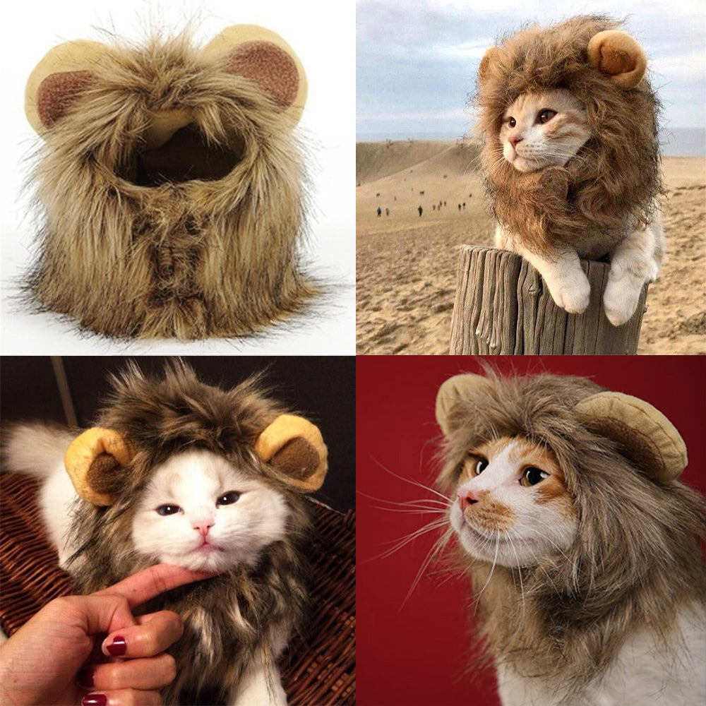 Pet Cute Lion Mane Cat Wig Hat For Dogs And Cat Small Dog Pet Cat
