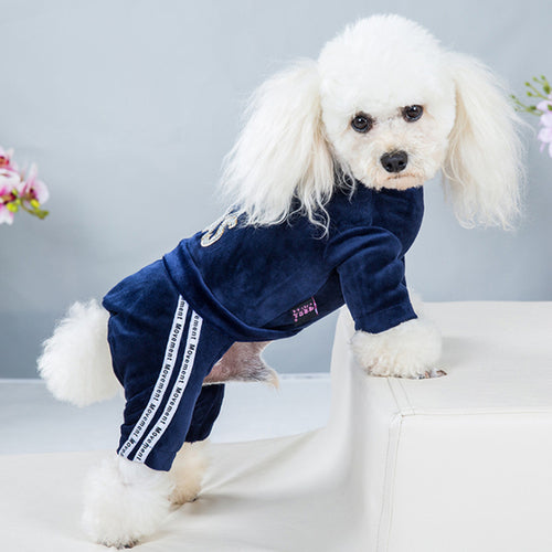 Fashion Letter Pet Dog Clothes For Small Dogs Coat Hoodie Sweatshirt