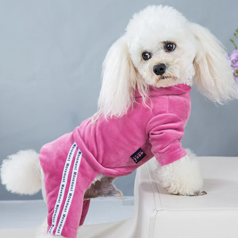 Fashion Letter Pet Dog Clothes For Small Dogs Coat Hoodie Sweatshirt