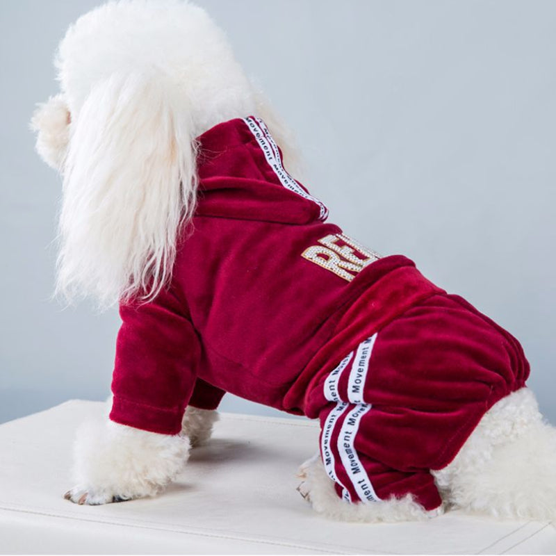 Fashion Letter Pet Dog Clothes For Small Dogs Coat Hoodie Sweatshirt