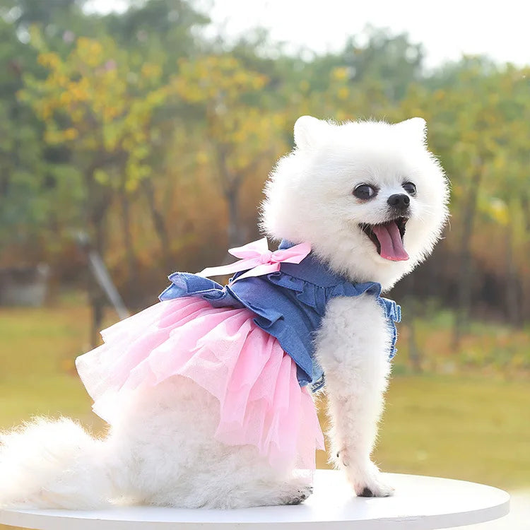 Pet Dress for Dog Small Pomeranian Girl and Boy Dress for Cat Small