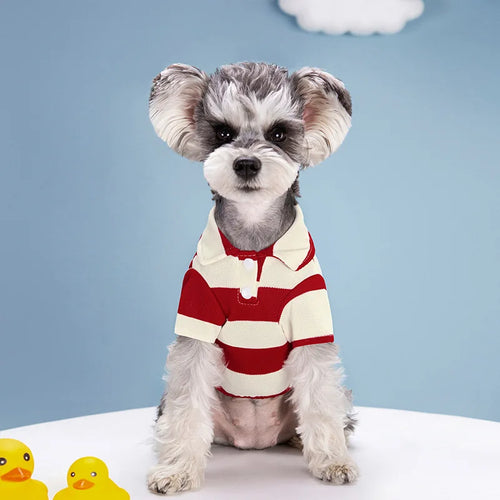 Pet Dog Polo Shirt Summer Dog Clothes Casual Clothing for Small Large