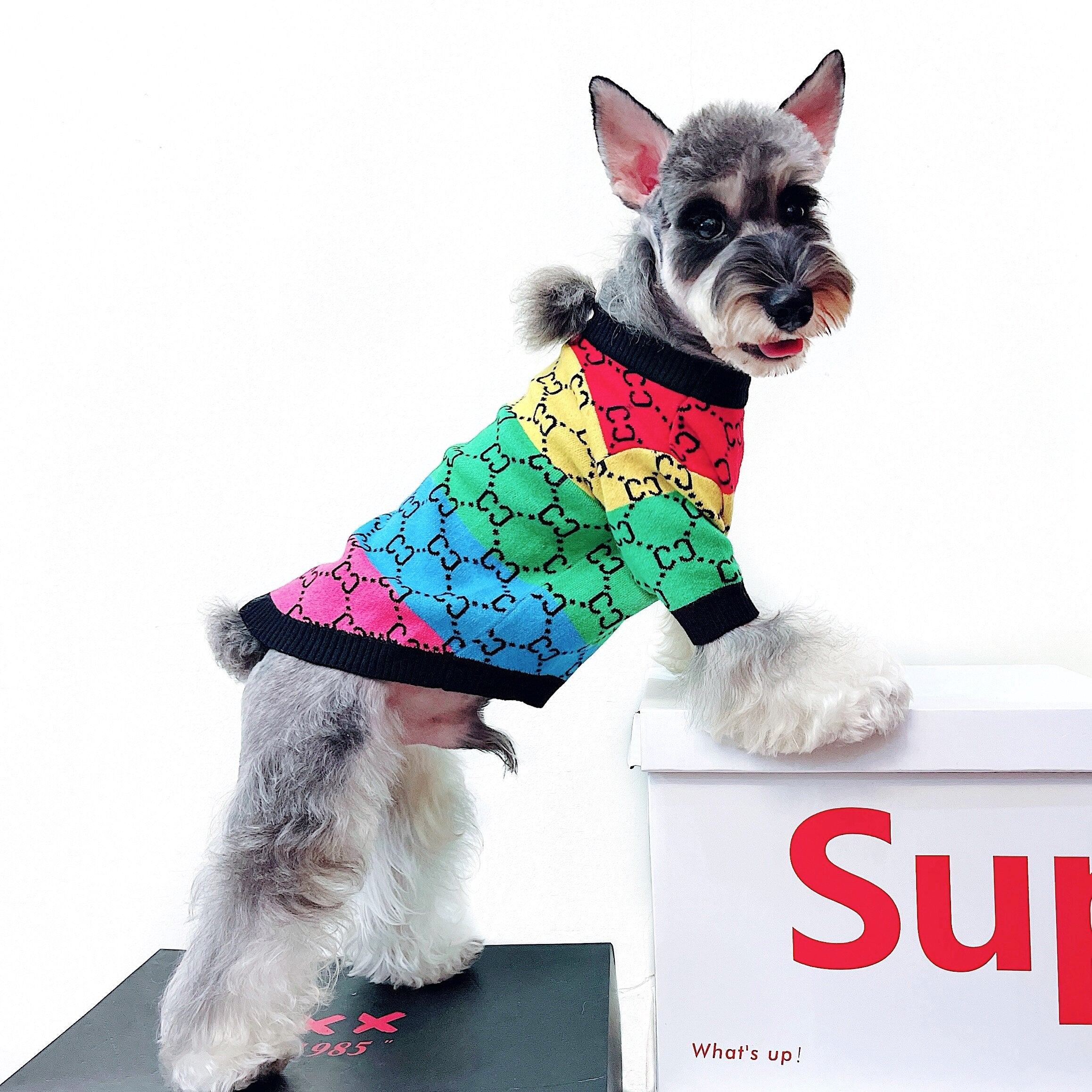 Trendy Brand Pet Clothes Small And Medium Sized Dogs Rainbow Stripes