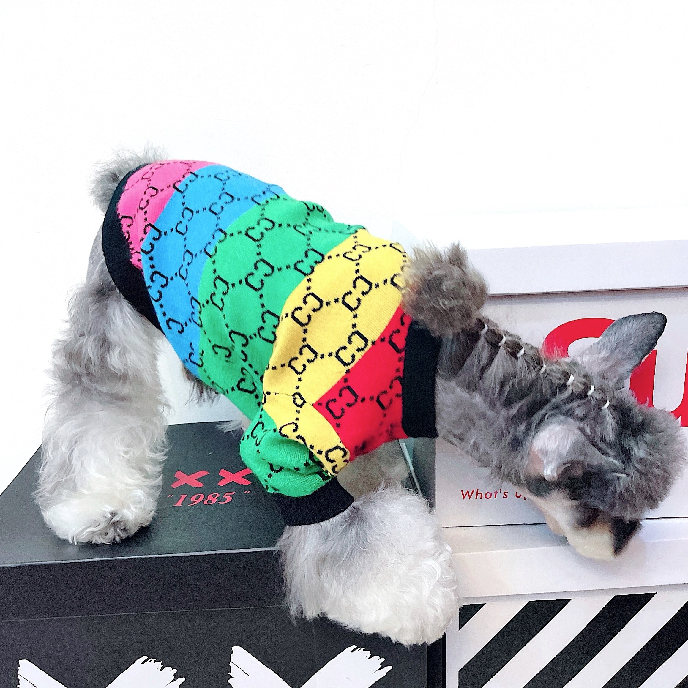 Trendy Brand Pet Clothes Small And Medium Sized Dogs Rainbow Stripes