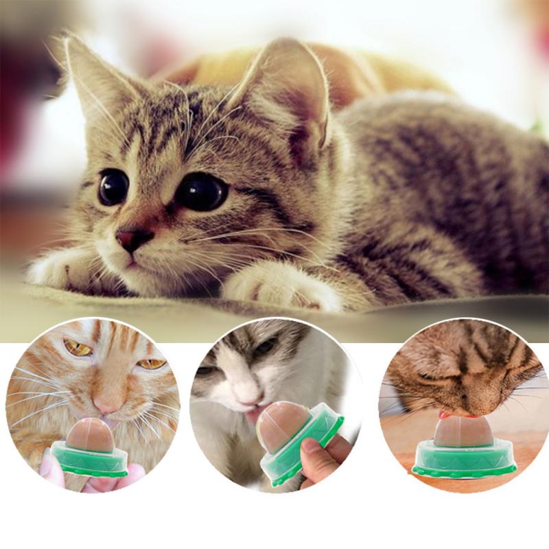 1/3/5 Pcs Cat Catnip Snacks Catnip Healthy Candy Licking Nutrition