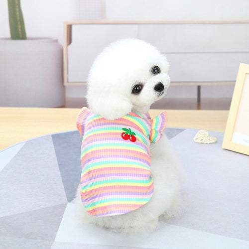 2021 Rainbow Strip Pet Dog Clothes Spring Pet Clothing For Small