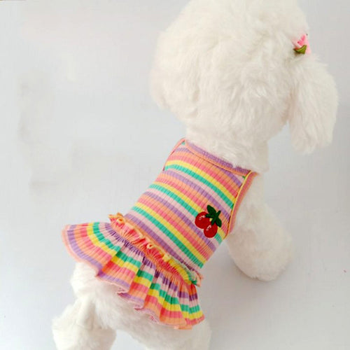 2021 Rainbow Strip Pet Dog Clothes Spring Pet Clothing For Small