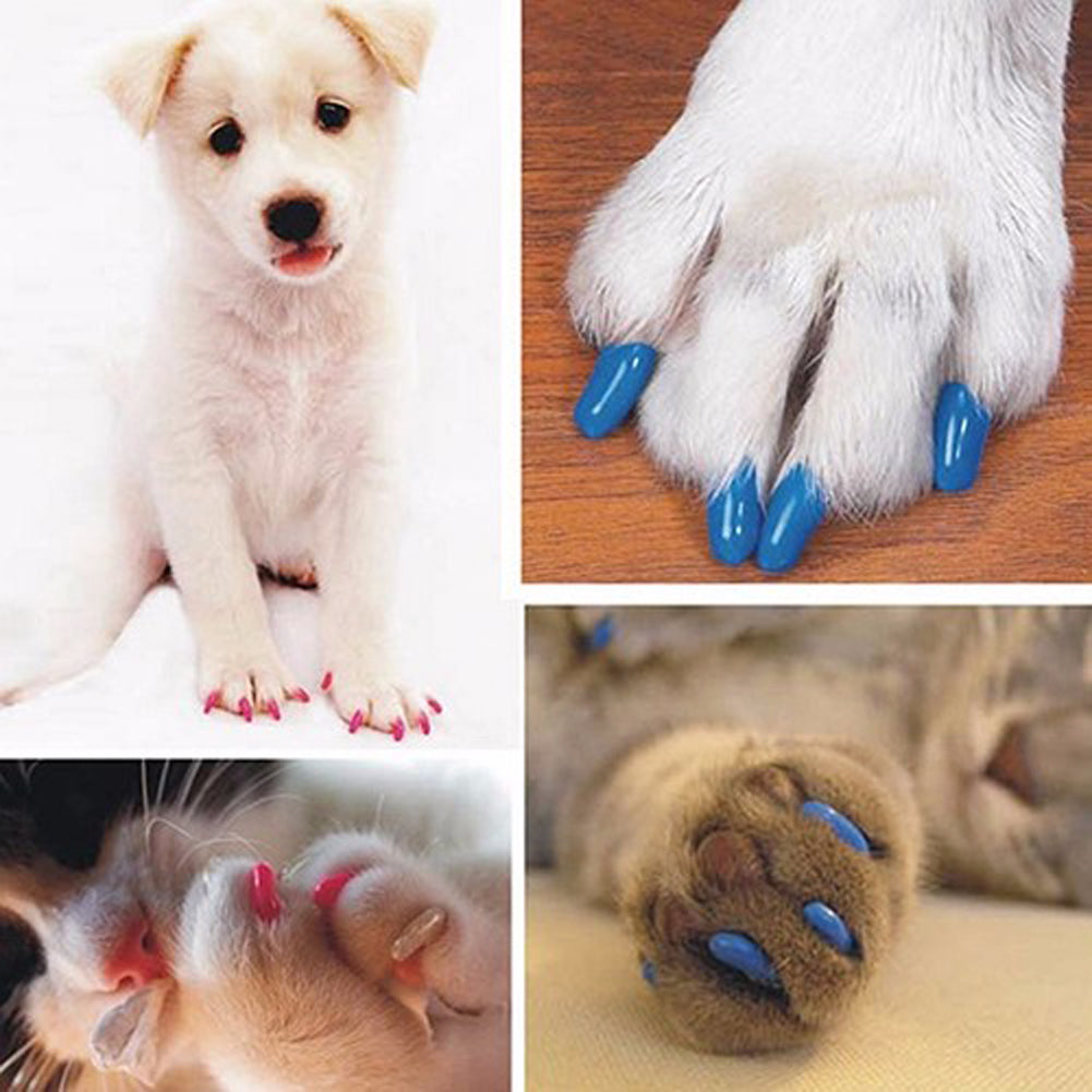 20pcs Silicone Soft Cat Nail Cap Cat Paw Claw Pet Nail Protector Cat