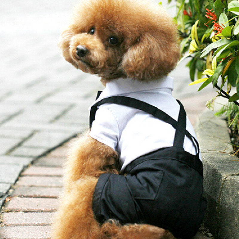 Gentleman Dog Clothes Wedding Suit Formal Shirt For Small Dogs Bowtie