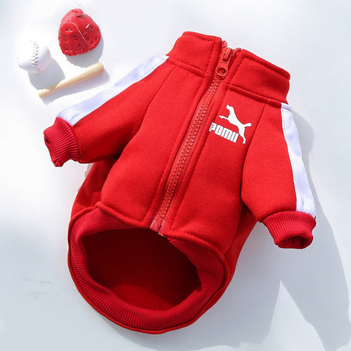 Luxury Pet Dog Clothes Fashion Warm Dog Sweatshirt Small Medium sized