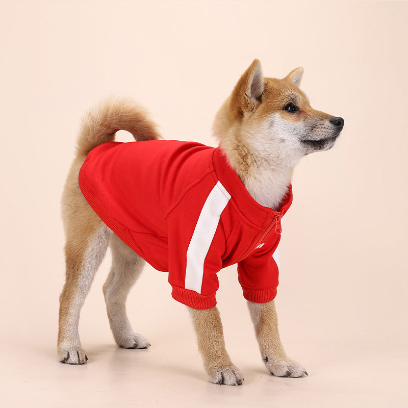 Luxury Pet Dog Clothes Fashion Warm Dog Sweatshirt Small Medium sized