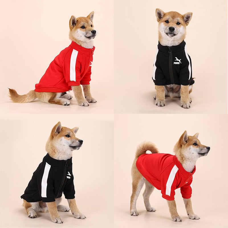 Luxury Pet Dog Clothes Fashion Warm Dog Sweatshirt Small Medium sized