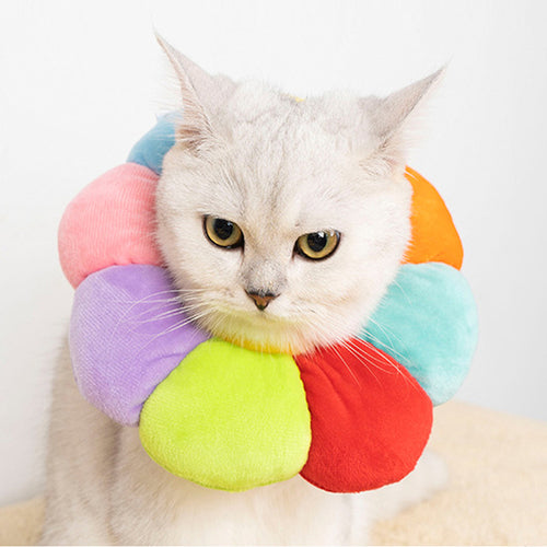 Rainbow Flower Cat Elizabethan Collar Pet Dog Neck Cone Recovery