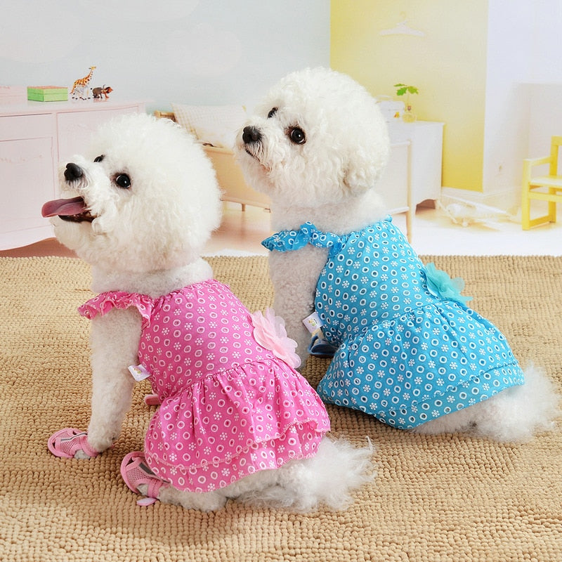 Rainbow Suspender Skirt Dog Clothes Dress Super Dogs Clothing Pet