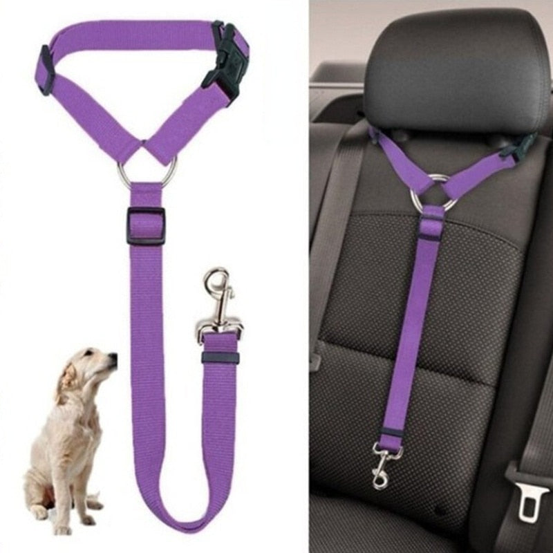 Solid Two in one Pet Car Seat Belt  Lead Leash BackSeat Safety Belt