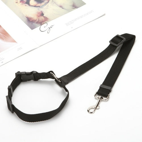 Solid Two in one Pet Car Seat Belt  Lead Leash BackSeat Safety Belt