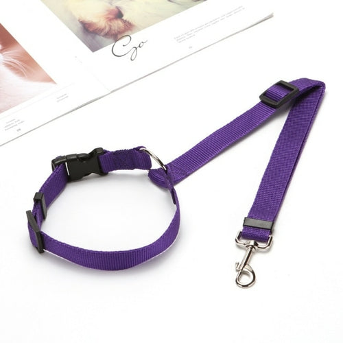 Solid Two in one Pet Car Seat Belt  Lead Leash BackSeat Safety Belt