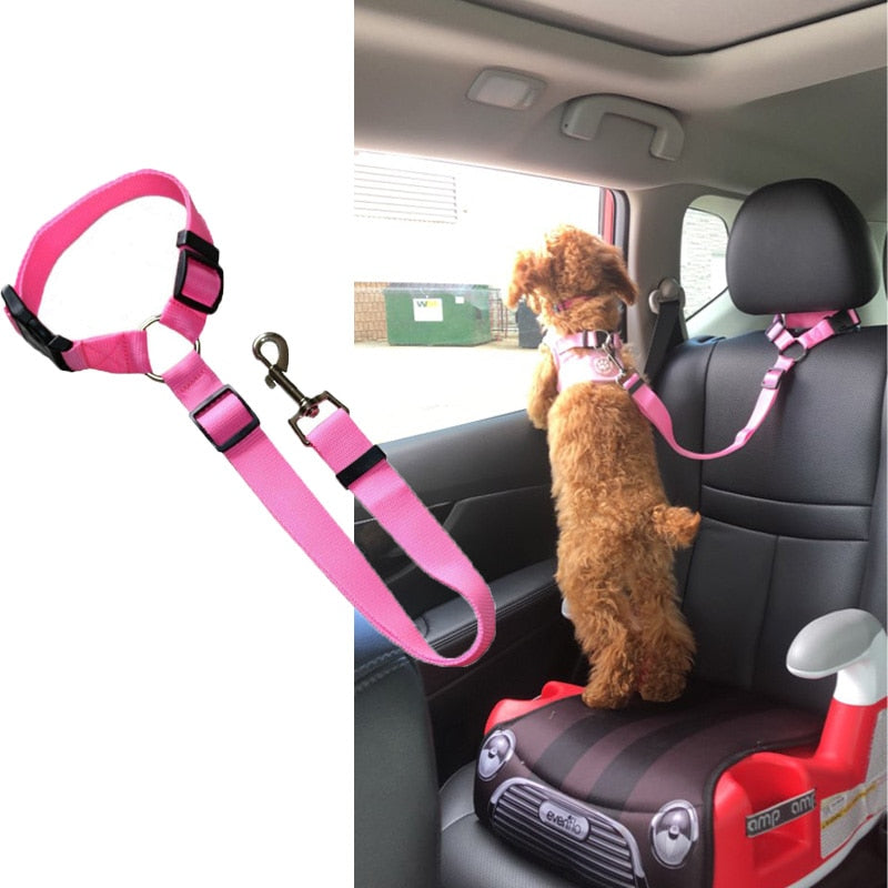 Solid Two in one Pet Car Seat Belt  Lead Leash BackSeat Safety Belt