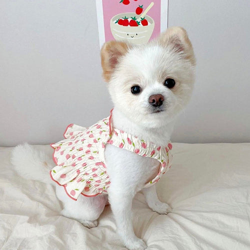 Strawberry Dress Pet Dog Clothes Cat Suspenders Sweet Clothing Dogs