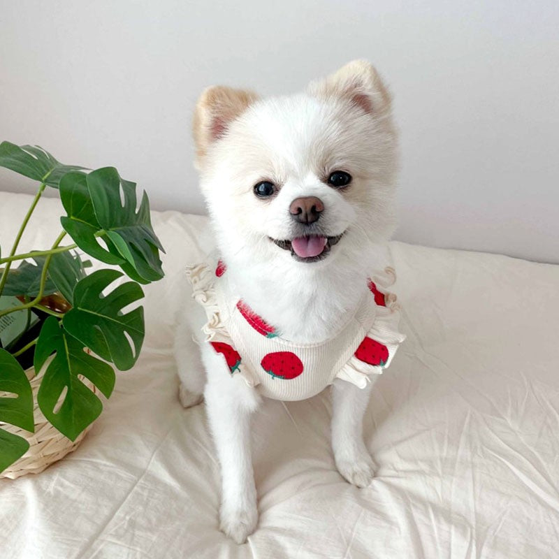 Summer Pet Dog Vest Strawberry Print Dogs Clothes Thin Pet Pullover