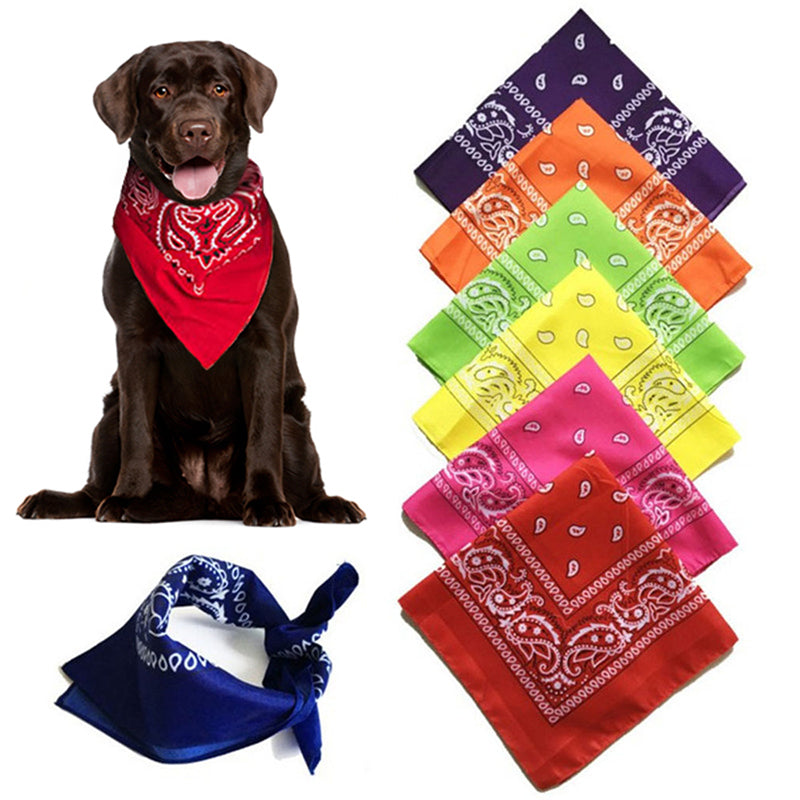 Toothbrush Pet Dog Puppy Cat Neck Scarf Bandana Collar Neckerchief