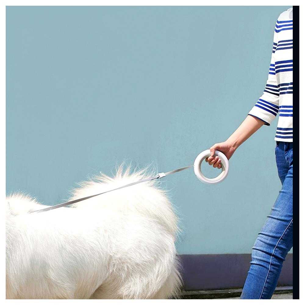 INSTACHEW Smart Space Leash for Pets